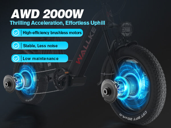 AWD(All-Wheel-Drive) Enhanced Stability and Traction