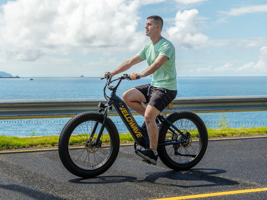 VELOWAVE Rover Step-Thru Electric Bike